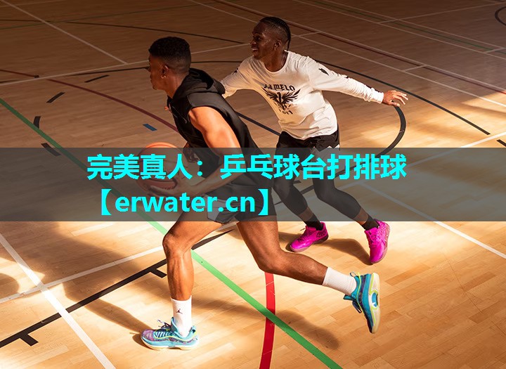 乒乓球台打排球 乒乓球台打排球