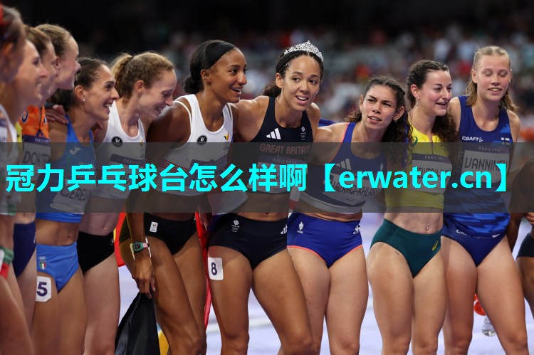 冠力乒乓球台怎么样啊 冠力乒乓球台怎么样啊