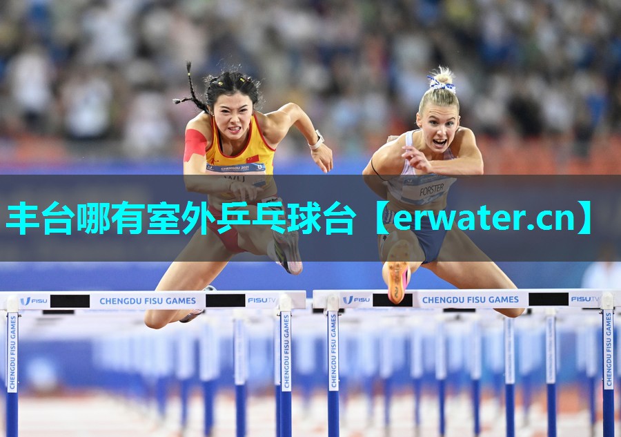 丰台哪有室外乒乓球台 丰台哪有室外乒乓球台