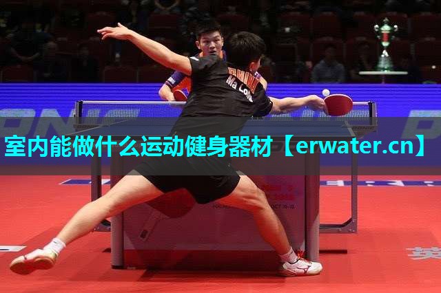 室内能做什么运动健身器材 室内能做什么运动健身器材