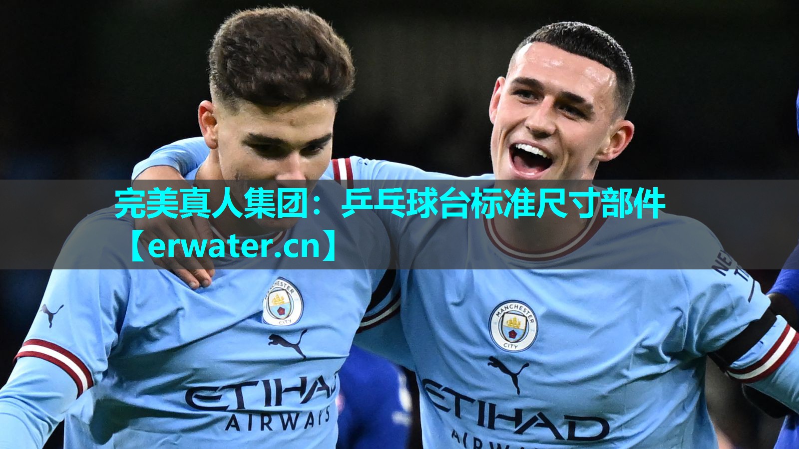 乒乓球台标准尺寸部件 乒乓球台标准尺寸部件