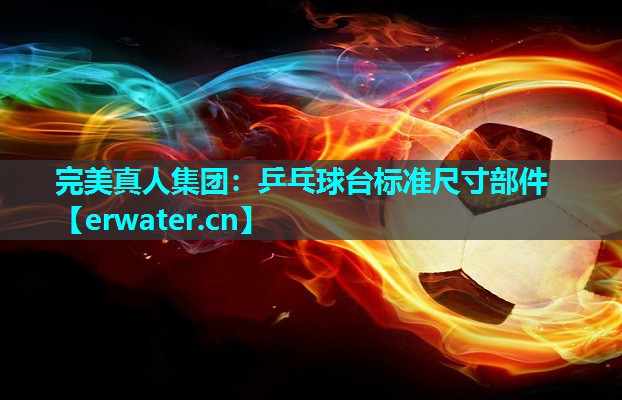 乒乓球台标准尺寸部件 乒乓球台标准尺寸部件