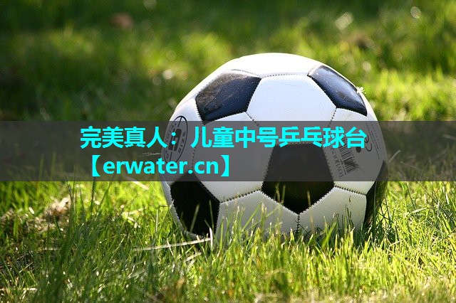儿童中号乒乓球台 儿童中号乒乓球台
