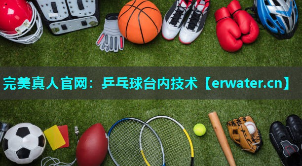 乒乓球台内技术 乒乓球台内技术