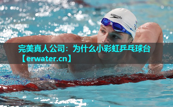 为什么小彩虹乒乓球台 为什么小彩虹乒乓球台