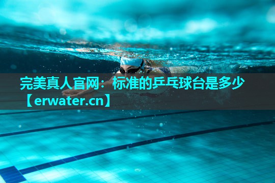 标准的乒乓球台是多少 标准的乒乓球台是多少