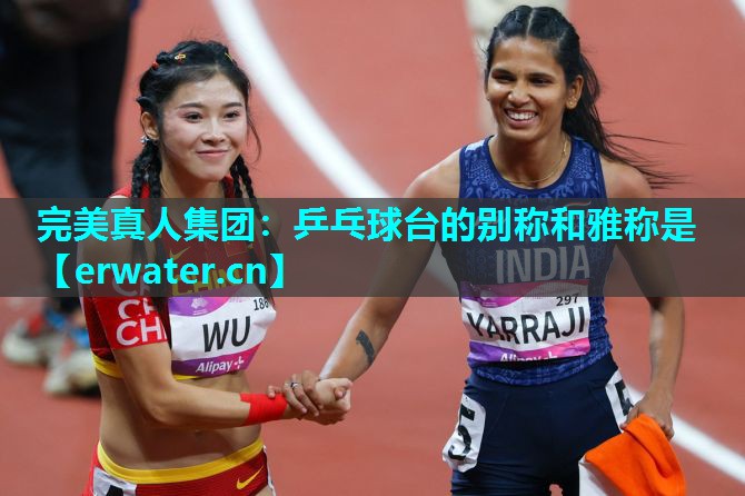 乒乓球台的别称和雅称是 乒乓球台的别称和雅称是