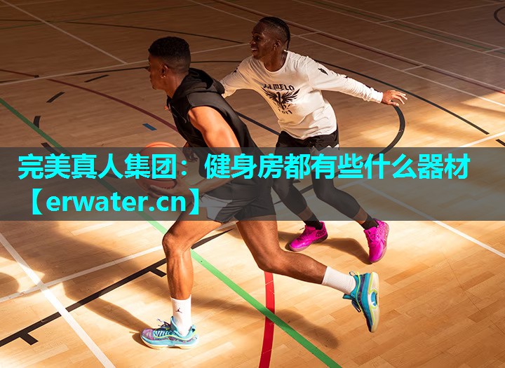 健身房都有些什么器材 健身房都有些什么器材