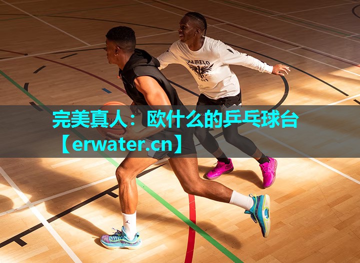 欧什么的乒乓球台 欧什么的乒乓球台