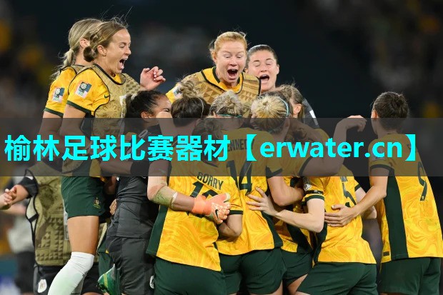 榆林足球比赛器材 榆林足球比赛器材