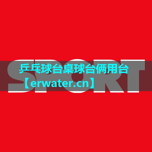 乒乓球台桌球台俩用台 乒乓球台桌球台俩用台