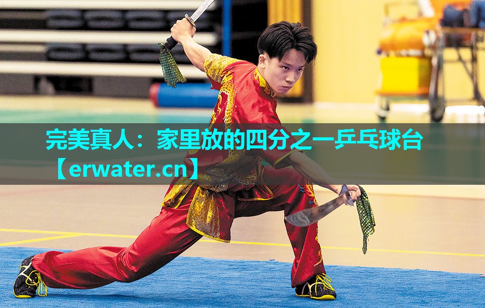 家里放的四分之一乒乓球台 家里放的四分之一乒乓球台