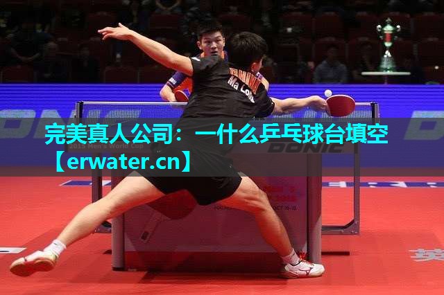 一什么乒乓球台填空 一什么乒乓球台填空