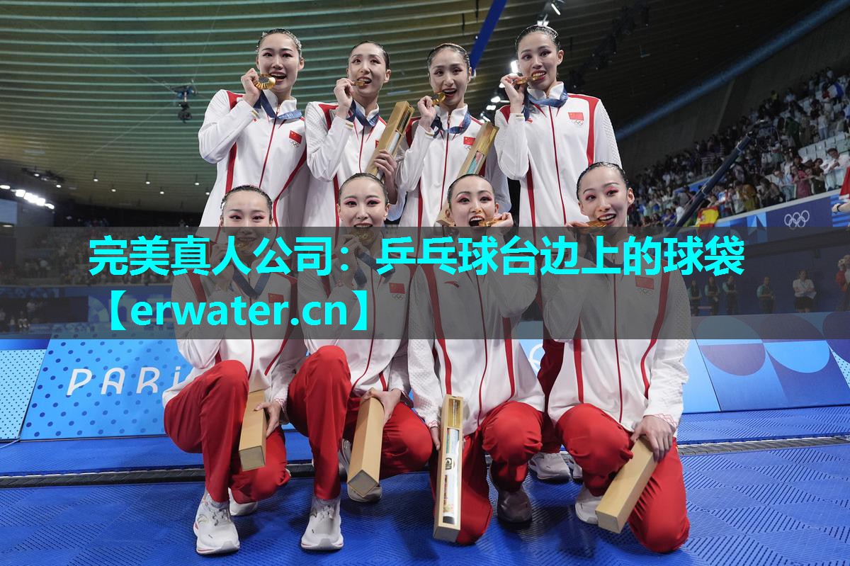 乒乓球台边上的球袋 乒乓球台边上的球袋
