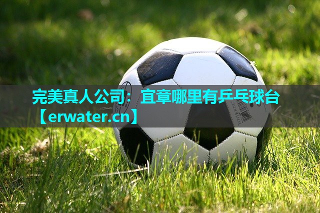 宜章哪里有乒乓球台 宜章哪里有乒乓球台