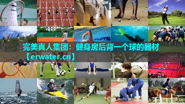 健身房后背一个球的器材 健身房后背一个球的器材