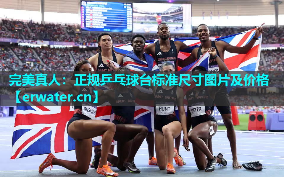 正规乒乓球台标准尺寸图片及价格 正规乒乓球台标准尺寸图片及价格