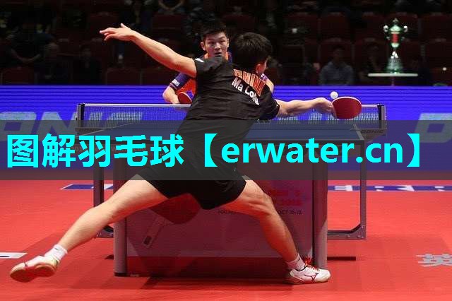 图解羽毛球 图解羽毛球