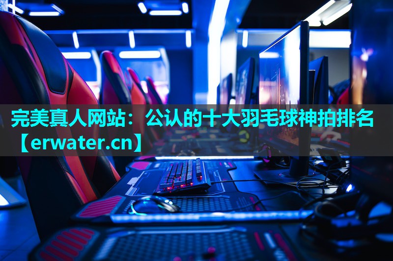 公认的十大羽毛球神拍排名 公认的十大羽毛球神拍排名