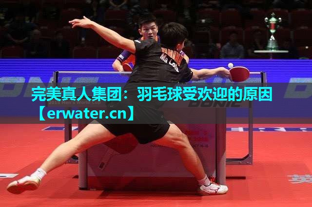 羽毛球受欢迎的原因 羽毛球受欢迎的原因