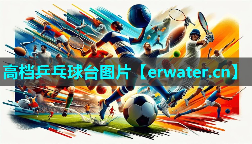 高档乒乓球台图片 高档乒乓球台图片