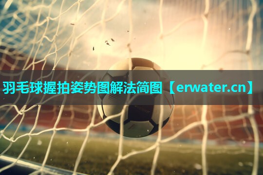 羽毛球握拍姿势图解法简图 羽毛球握拍姿势图解法简图