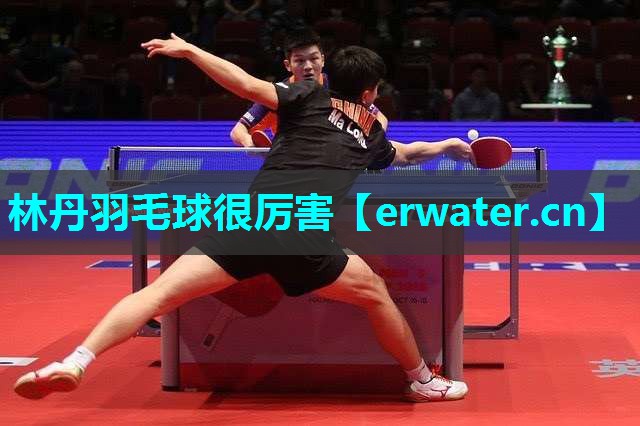 林丹羽毛球很厉害 林丹羽毛球很厉害