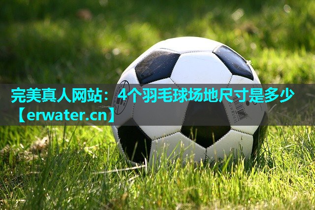 4个羽毛球场地尺寸是多少 4个羽毛球场地尺寸是多少