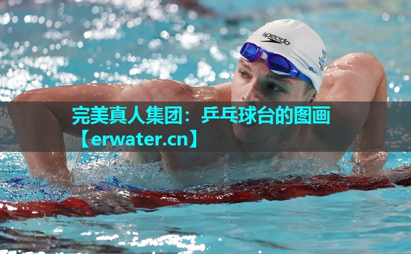 乒乓球台的图画 乒乓球台的图画