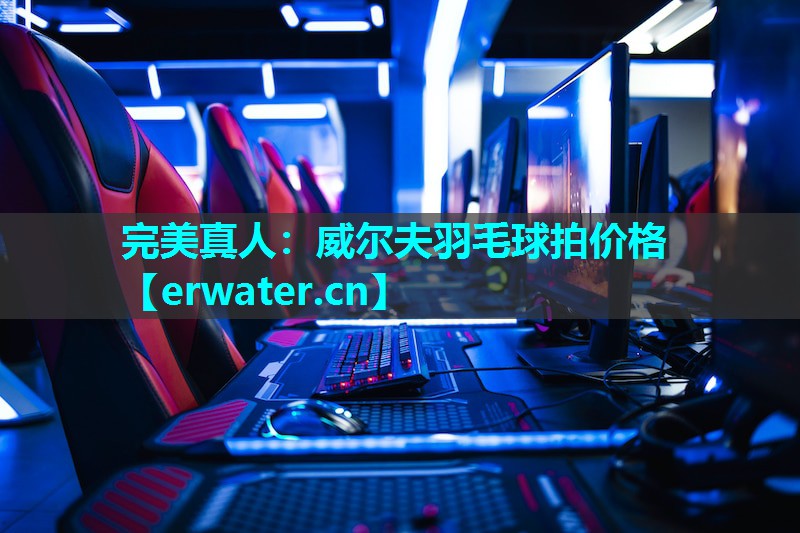 威尔夫羽毛球拍价格 威尔夫羽毛球拍价格