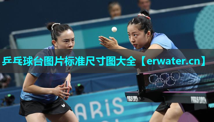 乒乓球台图片标准尺寸图大全 乒乓球台图片标准尺寸图大全