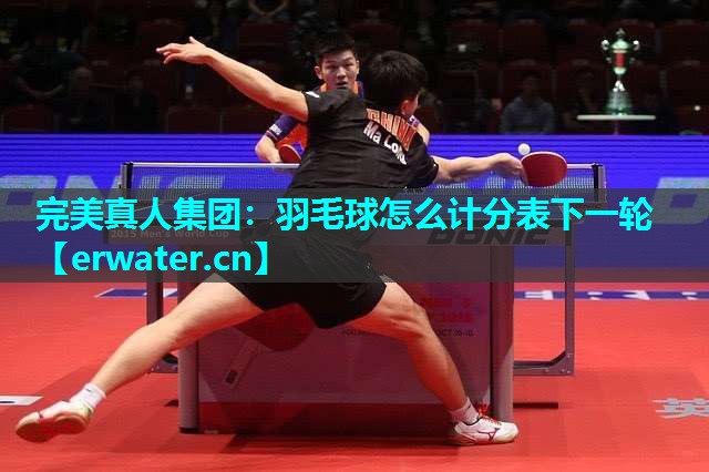 羽毛球怎么计分表下一轮 羽毛球怎么计分表下一轮