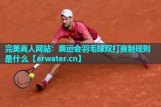 奥运会羽毛球双打赛制规则是什么 奥运会羽毛球双打赛制规则是什么
