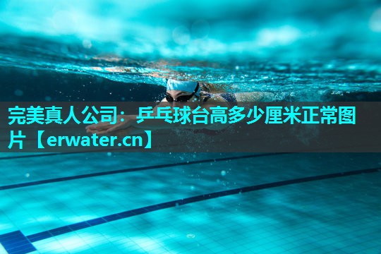 乒乓球台高多少厘米正常图片 乒乓球台高多少厘米正常图片