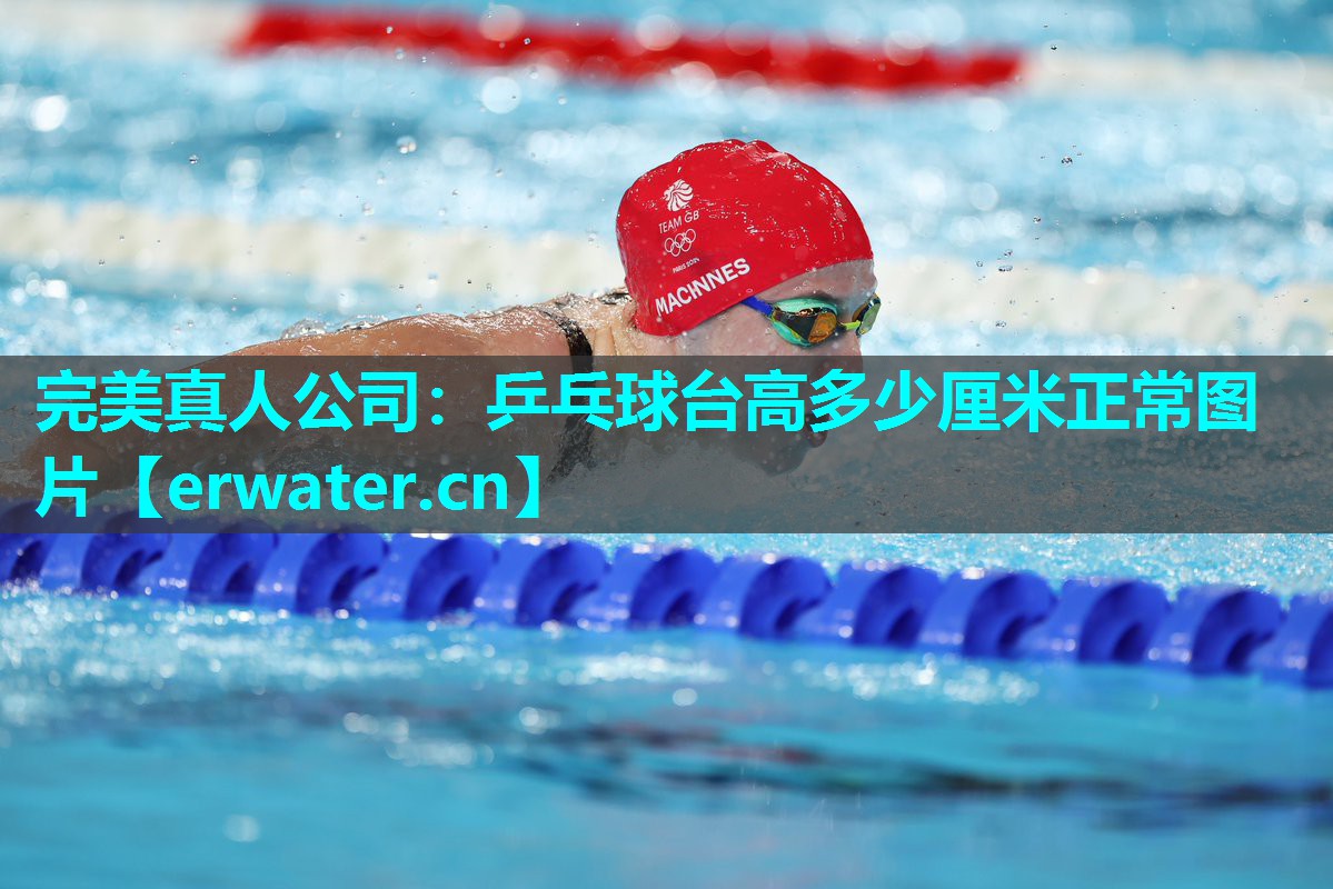乒乓球台高多少厘米正常图片 乒乓球台高多少厘米正常图片