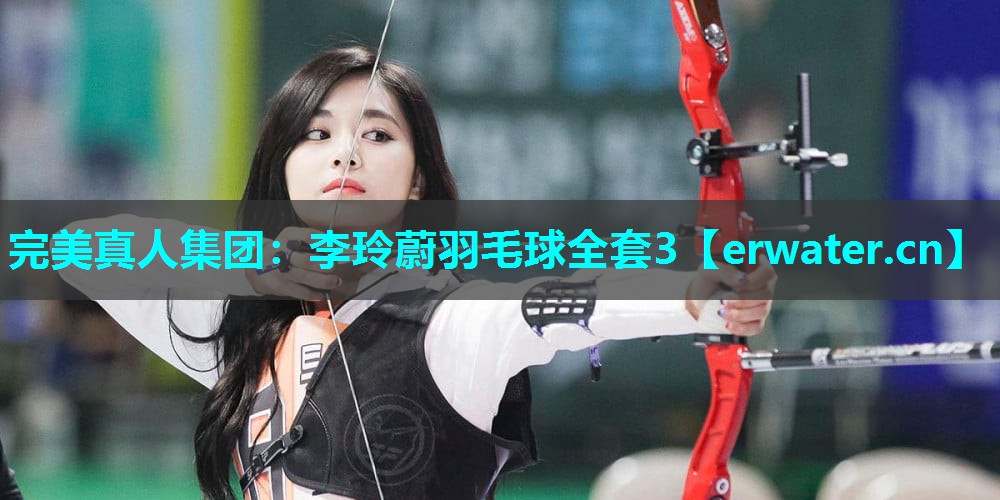 李玲蔚羽毛球全套3 李玲蔚羽毛球全套3