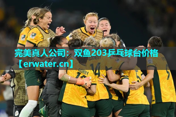 双鱼203乒乓球台价格 双鱼203乒乓球台价格
