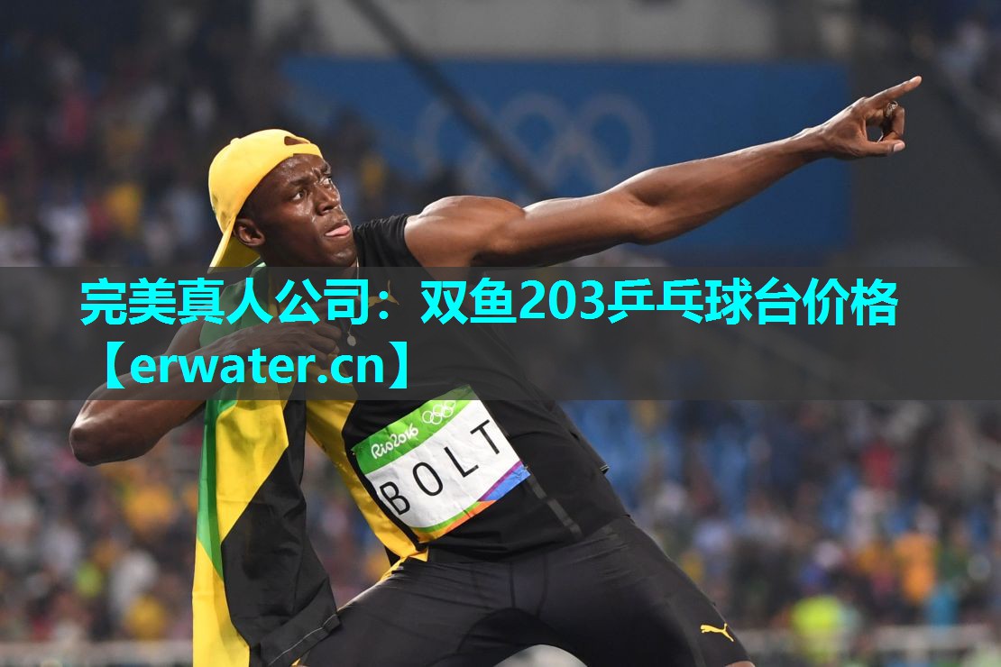 双鱼203乒乓球台价格 双鱼203乒乓球台价格